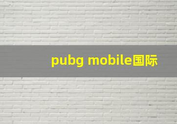 pubg mobile国际